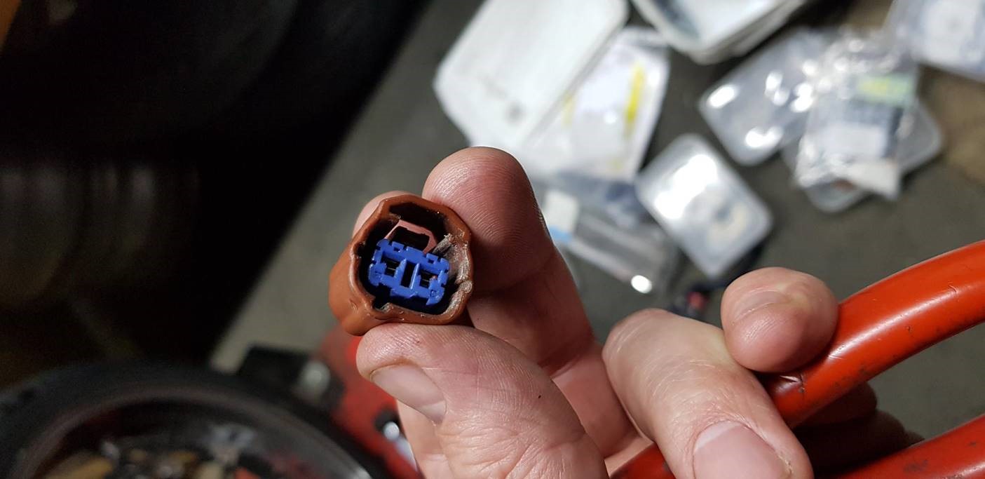 Fuel Pump connector | 675.cc • Triumph 675 Forum